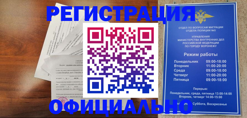 прописка поиск в Палласовке